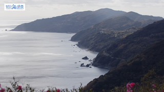 【その他】海岸 実景２