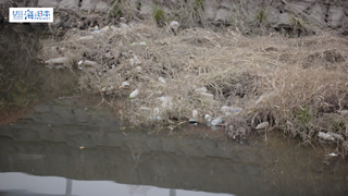 【川ごみ】草に絡むごみ