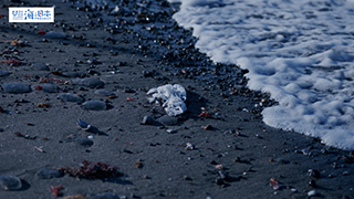【海ごみ】海岸にごみ５