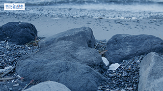 【海ごみ】海岸にごみ８