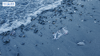 【海ごみ】海岸にごみ９
