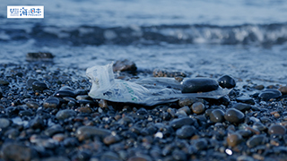 【海ごみ】海岸にごみ１４