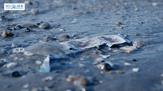 【海ごみ】海岸にごみ１５