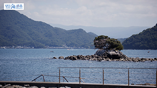 【その他】沖の岩礁