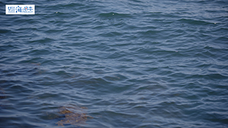【その他】海面 1