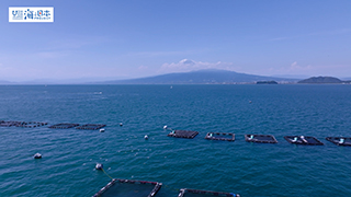 【その他】富士山と海 3