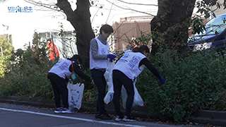 【スポGOMI】道路脇の植え込みにポイ捨てされたごみを拾う男女チーム３