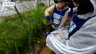 【スポGOMI】雨の中 植え込みのごみを拾う高校生チーム