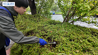 【スポGOMI】植え込みにポイ捨てされたペットボトルを拾う男子高校生