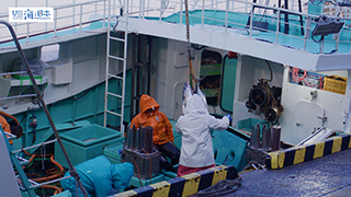 【漁港】千葉県 勝浦漁港 マグロ水揚げ５