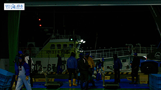 【漁港】千葉県 勝浦漁港 水揚げ１