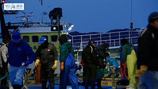 【漁港】千葉県 勝浦漁港 水揚げ２