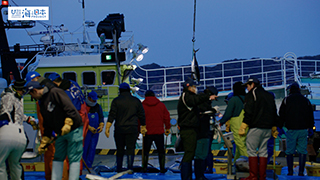 【漁港】千葉県 勝浦漁港 水揚げ３