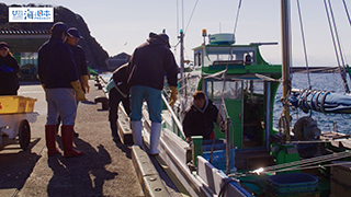 【漁港】千葉県 勝浦漁港 キンメダイ水揚げ１