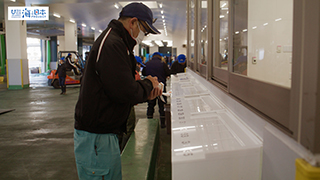 【漁港】千葉県 勝浦漁港 入札