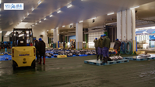 【漁港】千葉県 勝浦漁港 実景１