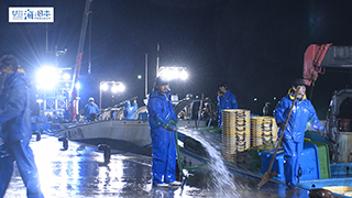 【漁港】富山県 四方漁港 漁師 水揚げ マダイ ハマチ