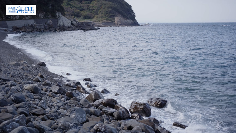 【その他】海岸 実景1