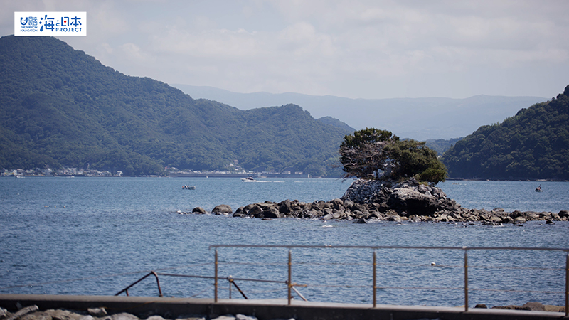 【その他】沖の岩礁