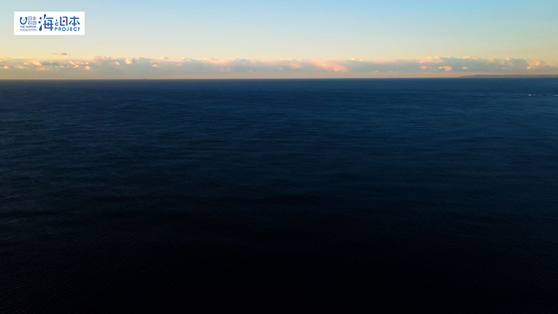 【漁港】千葉県 勝浦漁港の上空から撮影した朝の海