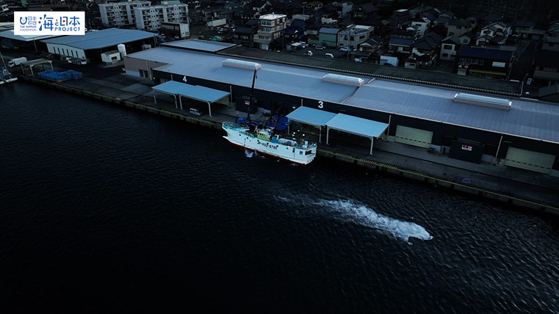【漁港】千葉県 勝浦漁港 水揚げする漁船 空撮１