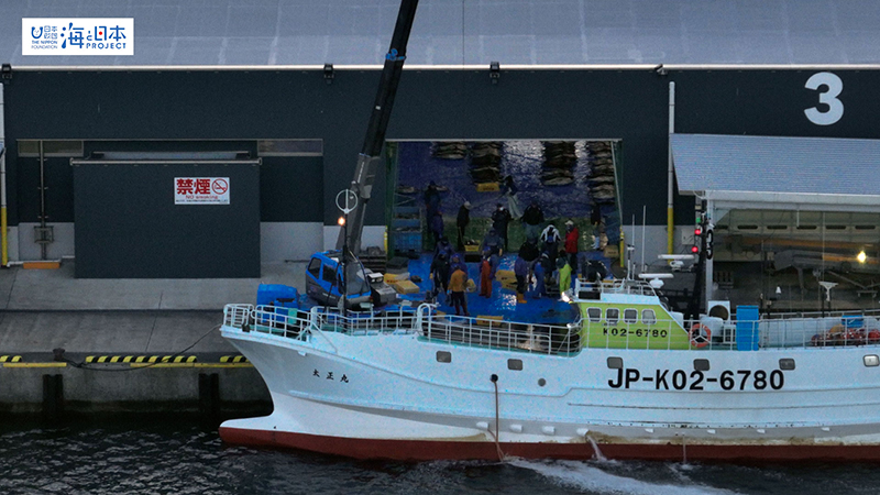【漁港】千葉県 勝浦漁港 水揚げする漁船 空撮３