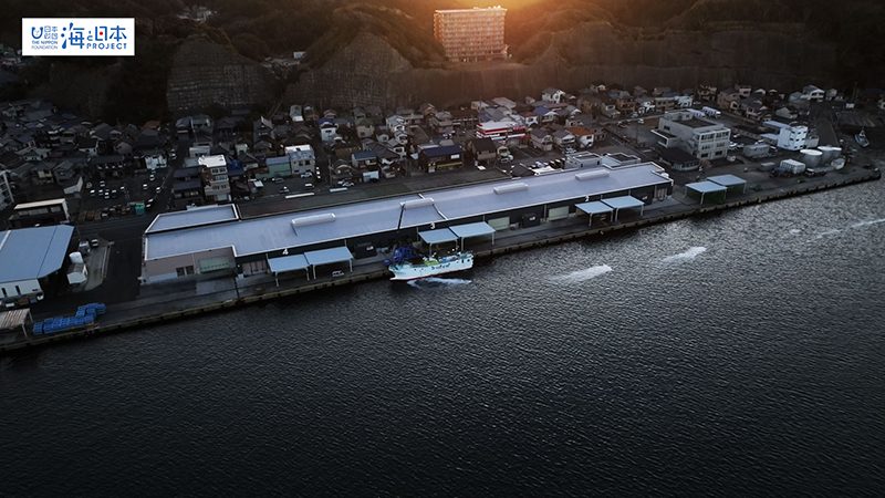 【漁港】千葉県 勝浦漁港 水揚げする漁船 空撮４