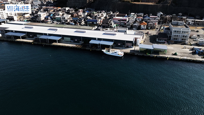 【漁港】千葉県 勝浦漁港 帰港 漁船 空撮２