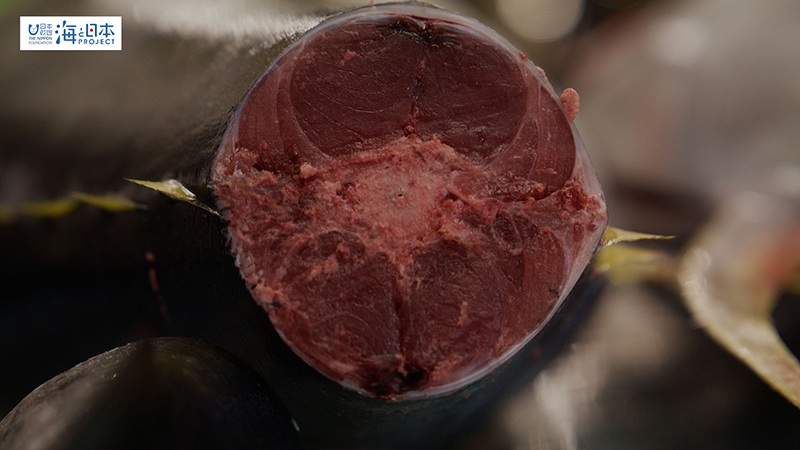 【漁港】千葉県 勝浦漁港 尾切りされたマグロ２