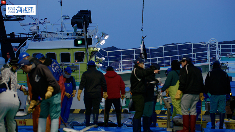 【漁港】千葉県 勝浦漁港 水揚げ３