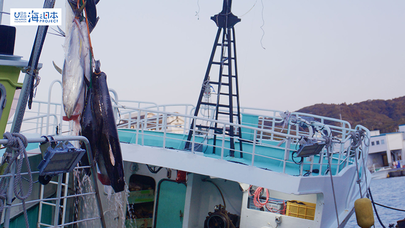 【漁港】千葉県 勝浦漁港 水揚げ８