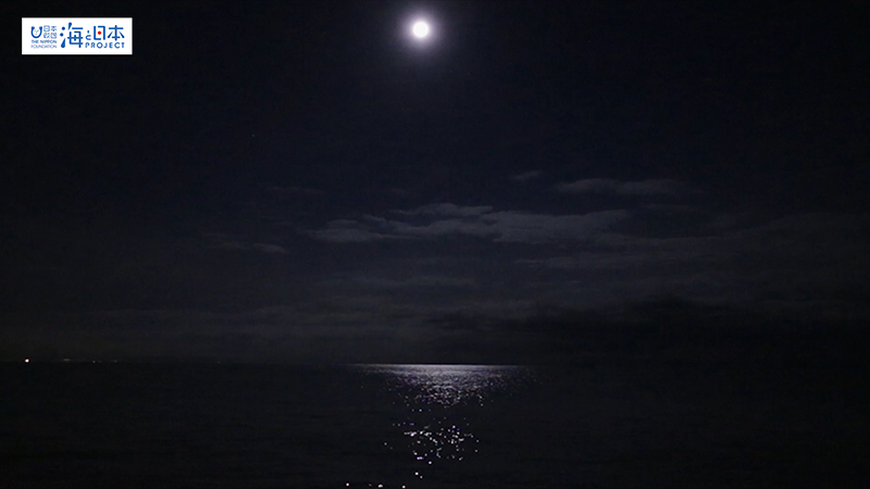 【漁港】富山県 魚津漁港 月明りと海